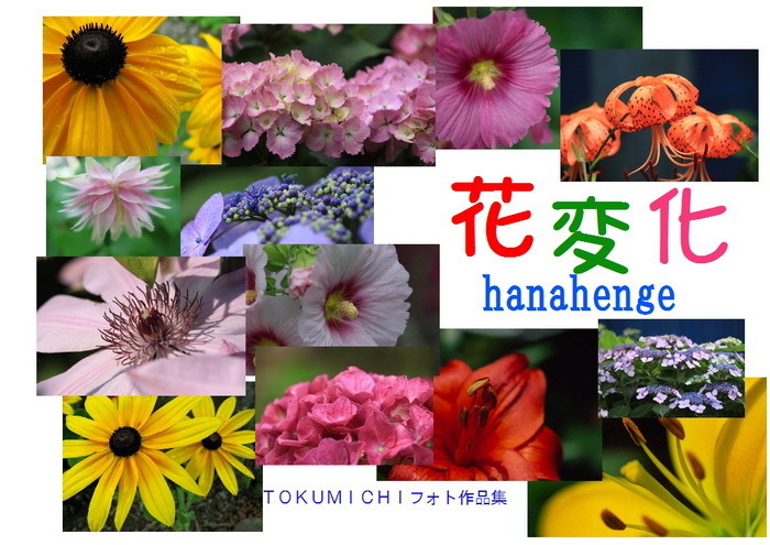 0 花変化.jpg
