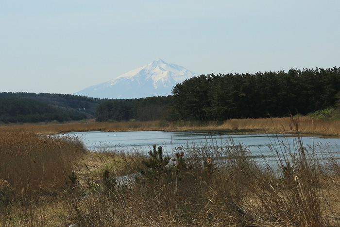 12 iwaki 4-15.JPG