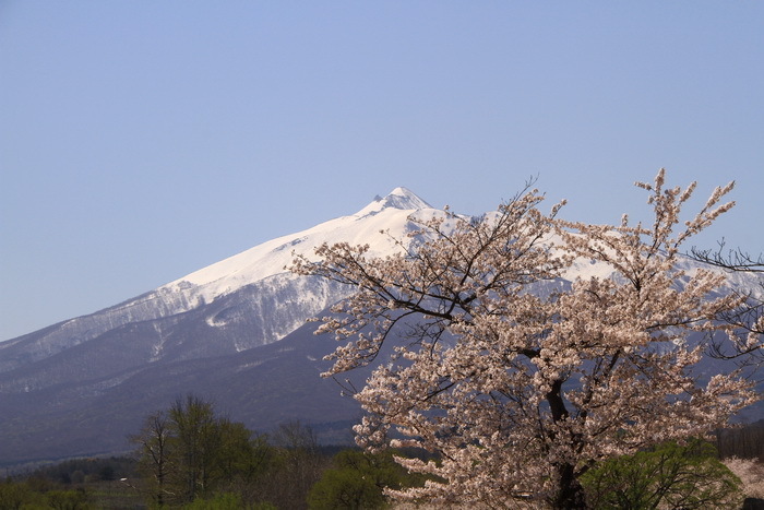 14 iwaki 21 4-17.JPG