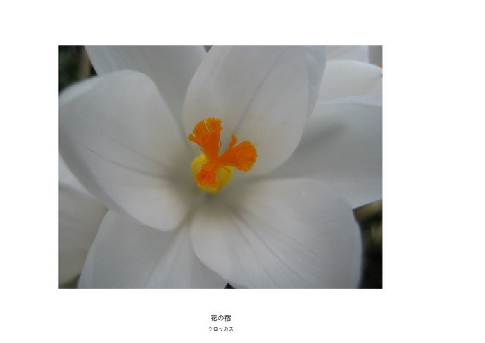 17 花の宿.jpg