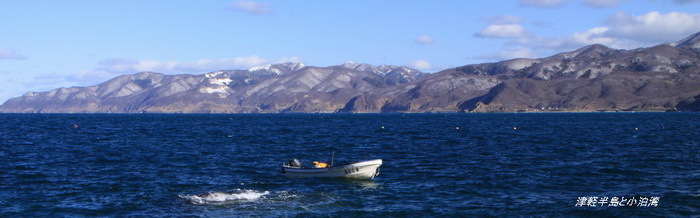 2011.01_サイズ変更.JPG