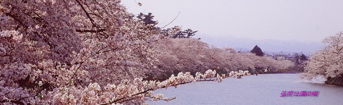 2011.04_サイズ変更.JPG