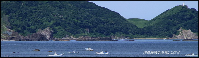 2011.07_サイズ変更.JPG