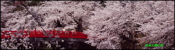 2012.04_サイズ変更.JPG
