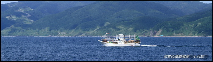 2013.06_サイズ変更.JPG