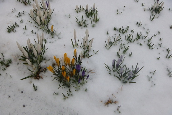 2015_03_24_3.JPG
