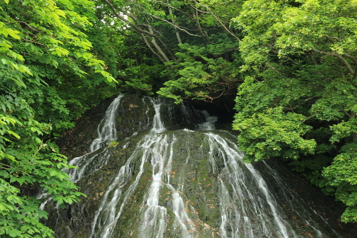 2020_07_05_6831_サイズ変更.JPG