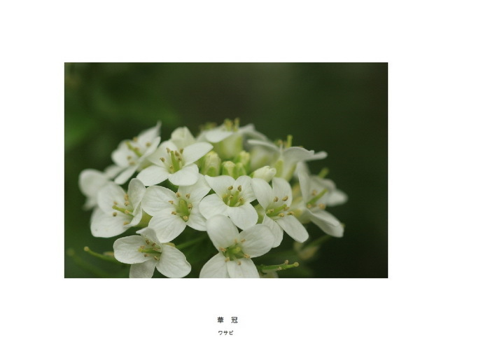 21 華冠.jpg
