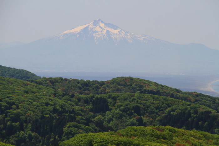21 iwaki 21 5-20.JPG