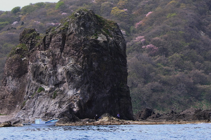 chimei 13 11-6.JPG