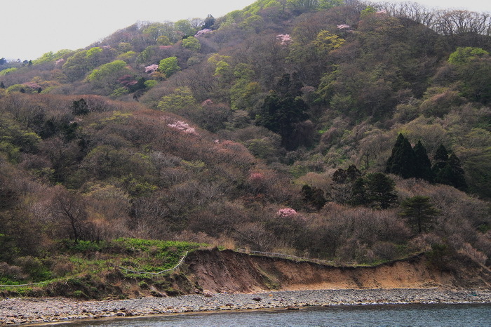 chimei 13 12-3.JPG