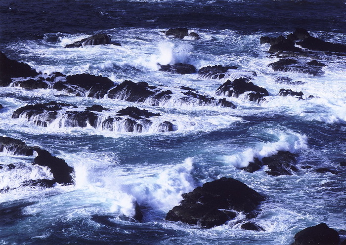 chimei 14 3-9 小浜.jpg