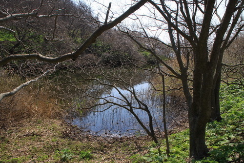 chimei 14 5-1 湯の平.JPG