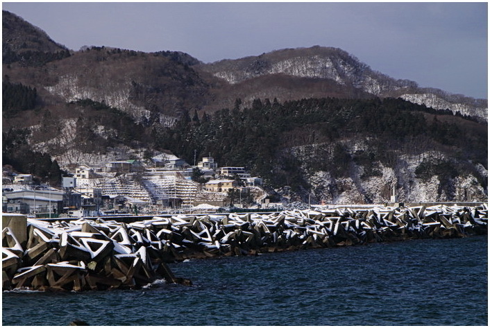 fuyu 2-11.JPG