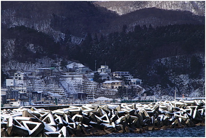 fuyu 2-12.JPG