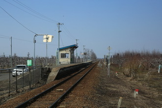 gonou 18 3-16.JPG