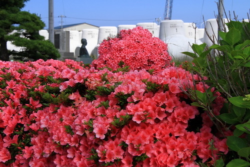 hana 14 6-2.JPG
