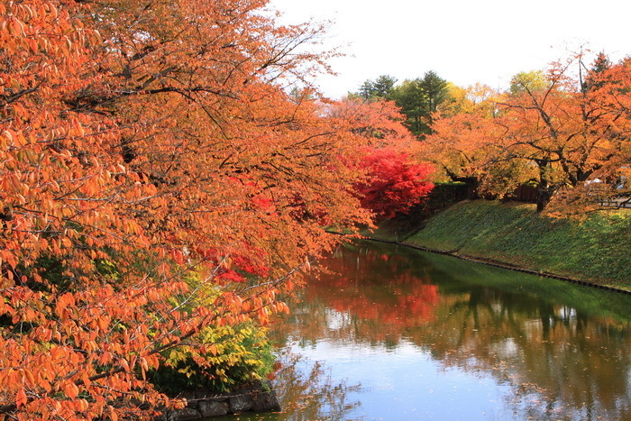 hirosaki 11-4.JPG