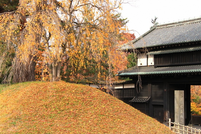 hirosaki 11-7.JPG