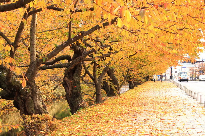 hirosaki 11-8.JPG