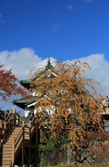 hirosaki 15 11-16.JPG