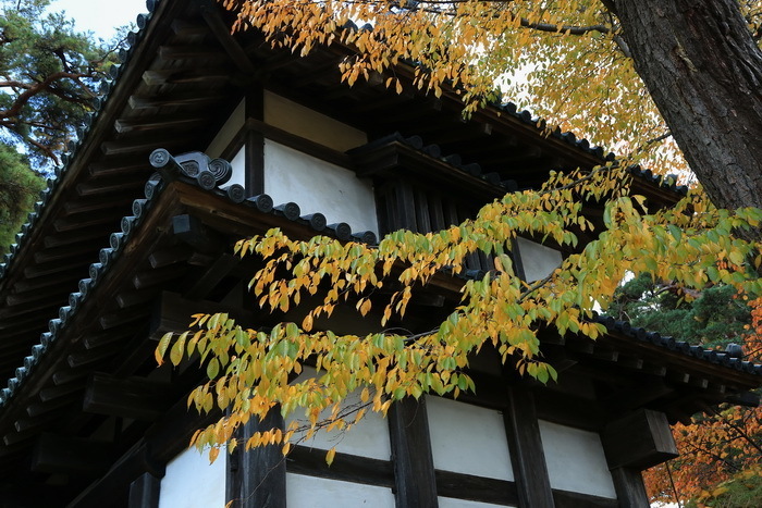 hirosaki 15 11-7.JPG