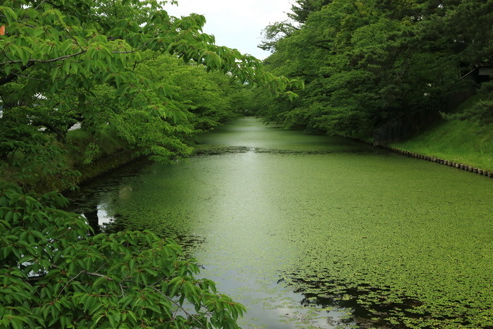 hirosaki 17 7-1.JPG
