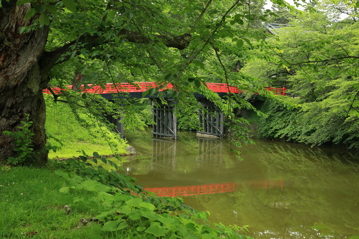 hirosaki 17 7-5.JPG