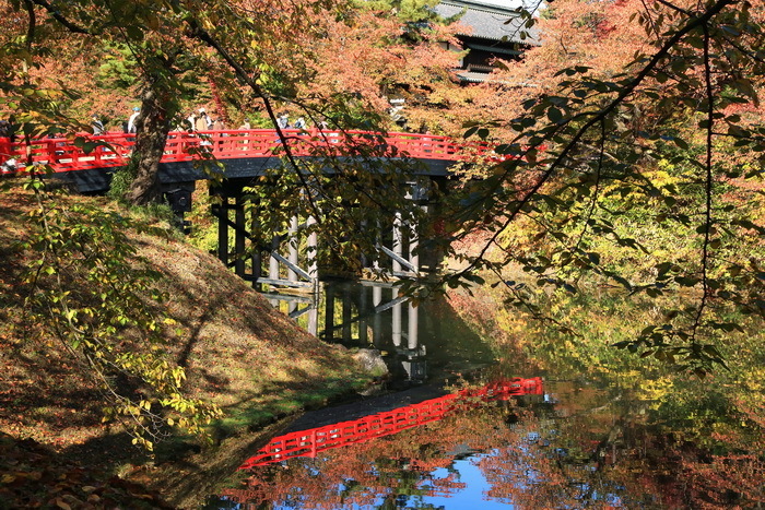 hirosaki 18 11-16.JPG