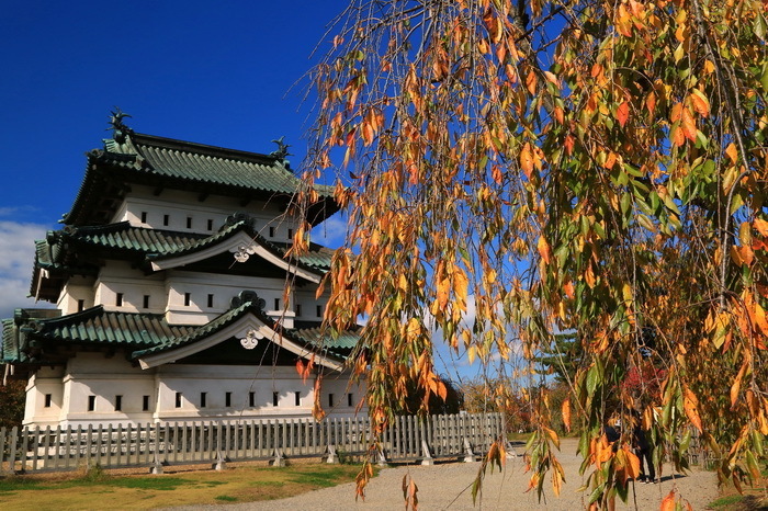 hirosaki 18 11-2.JPG
