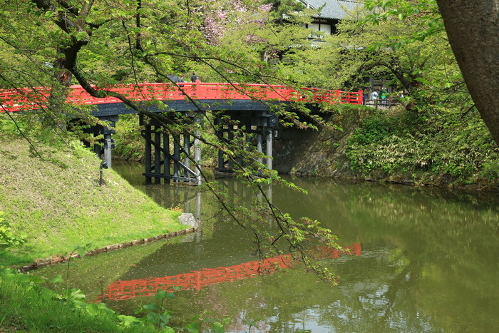 hirosaki 18 5-3.JPG