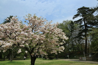 hirosaki 18 5-7.JPG