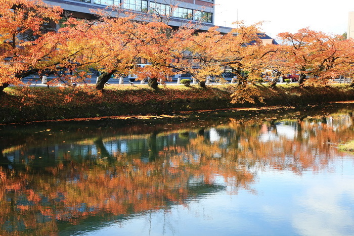hirosaki 21 11-3.JPG