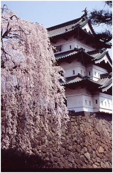 hirosaki 4-3.JPG