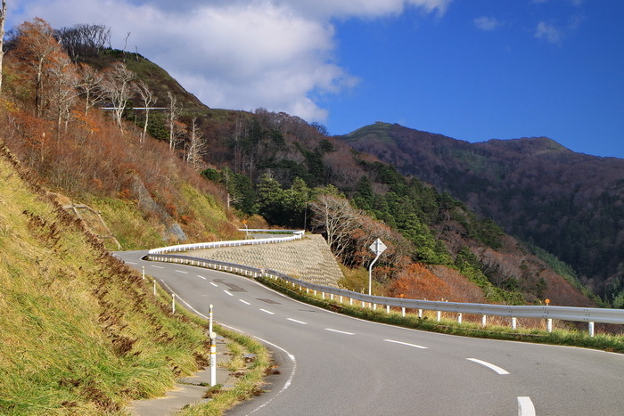 kodomari 11-5.JPG