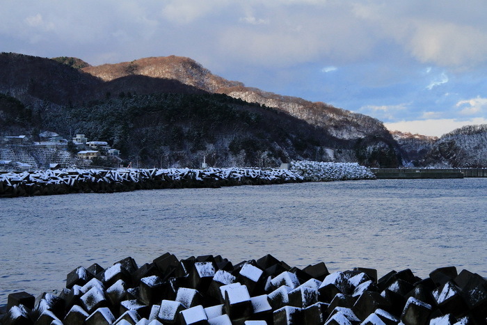 kodomari 12-8.JPG