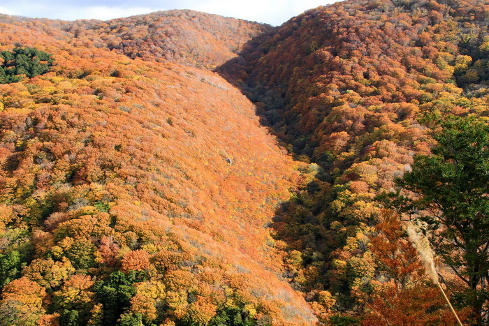 kodomari 12 11-1.JPG