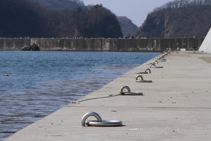 kodomari 12 3-12.JPG