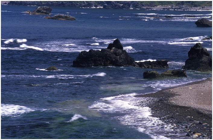 kodomari 7-12.JPG