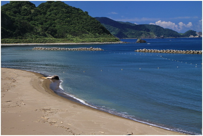 kodomari 8-17.JPG