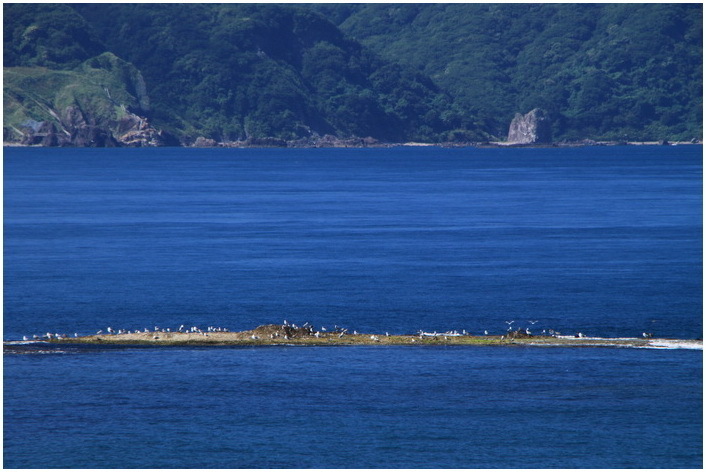 kodomari 9-2.JPG