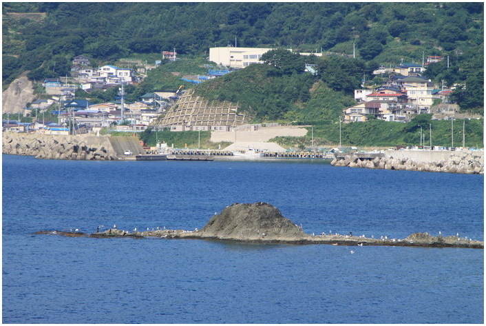 kodomari 9-3.JPG