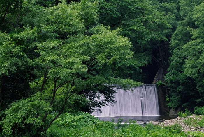 sirakami 12 8-4.JPG