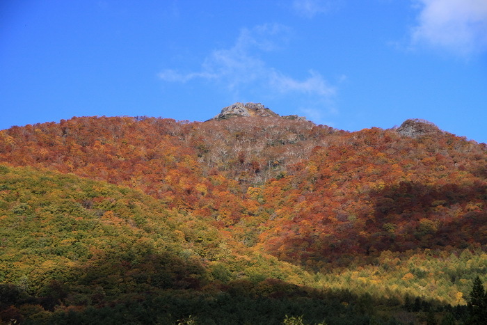 tabi 12 11-1.JPG