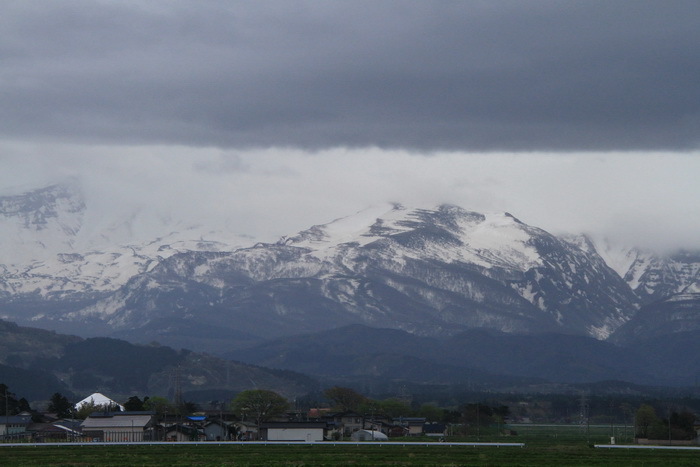 tabi 13 5-14.JPG