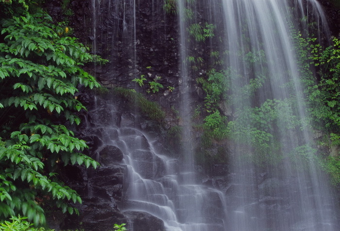 taki 20 8-2(錦見の滝）.JPG