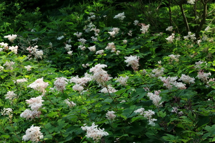tasou 14 6-3.JPG