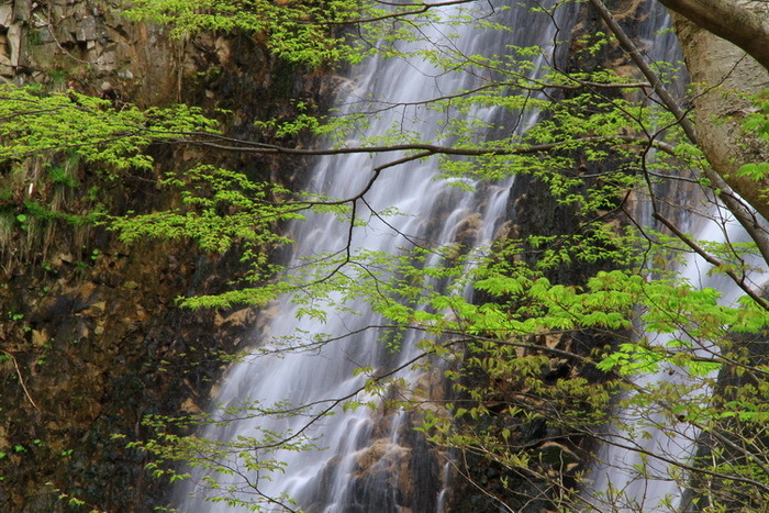 tugaru 13 5-2.JPG