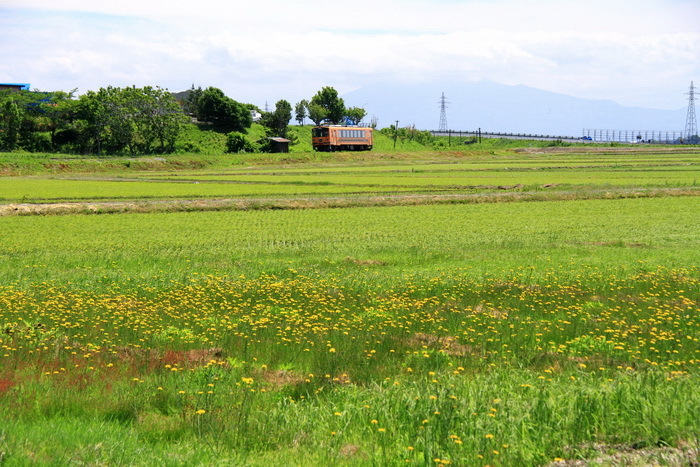 tugaru 18 6-3.JPG