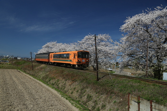 tutetu 24 4-3.JPG